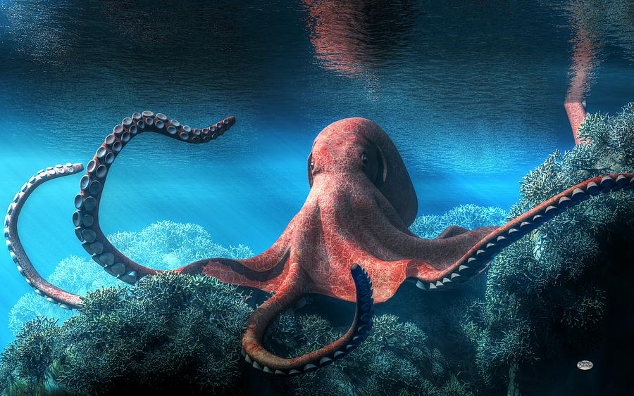 Octopus #1 Digital Art by Daniel Eskridge