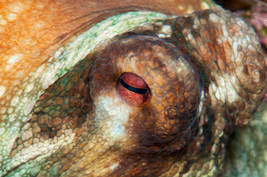 Octopus Eye #1 Digital Art by Roy Pedersen