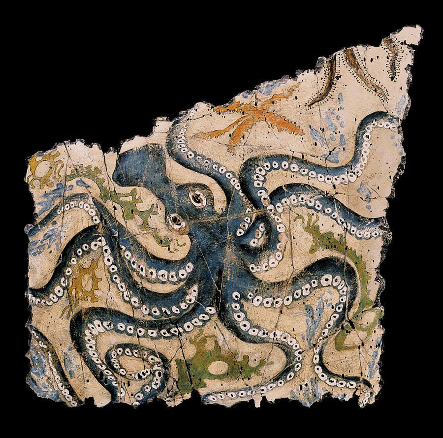 Greek Painting - Octopus #1 by Steve Bogdanoff
