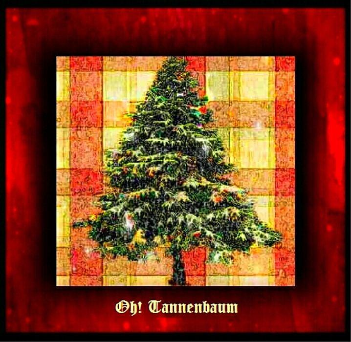 Christmas Photograph - Oh Tannenbaum by Ellen Cannon