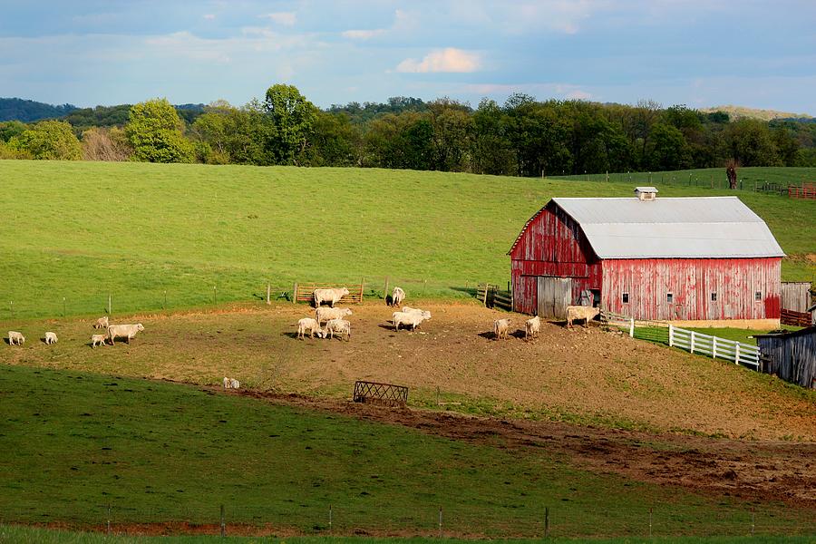 Ohio Farm Photograph by Nelson Skinner | Fine Art America