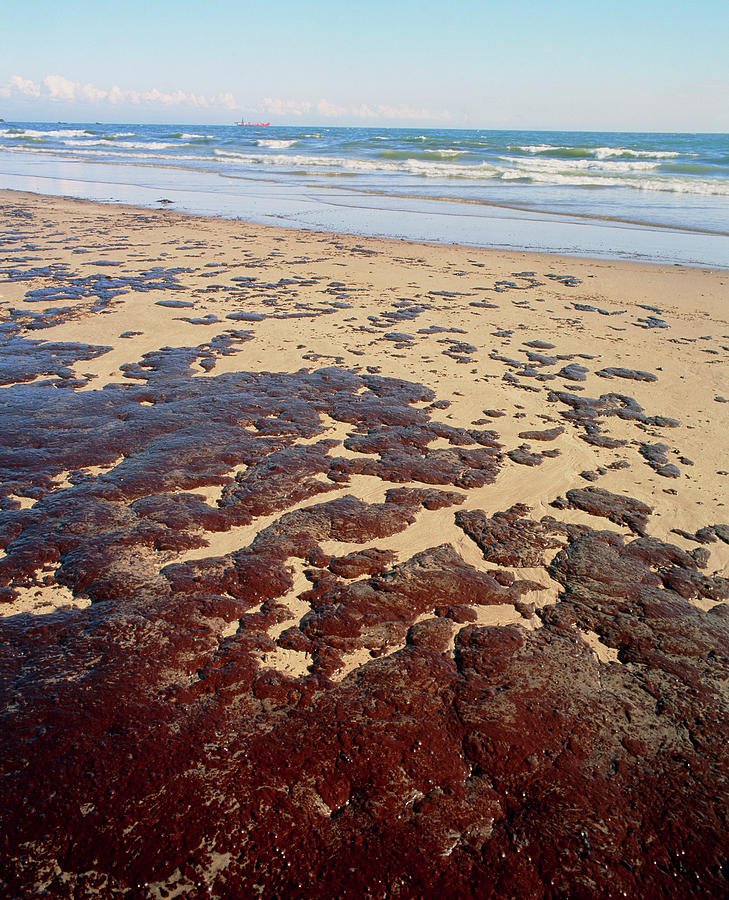 Oil Covering A Sandy Beach #1 Photograph by Science Photo Library Oil Covering A Sandy Beach #1 Photograph by Science Photo Library