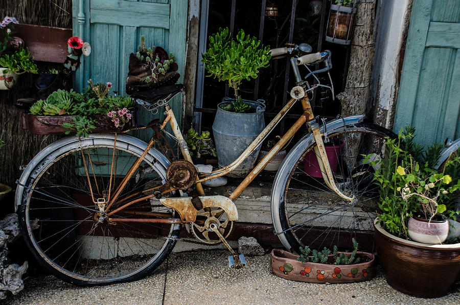  The Time-Worn Charm of an Antique Bicycle Photograph by Dany Lison