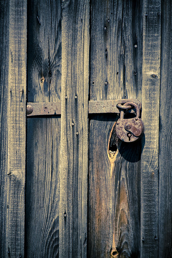 Old door #6 Photograph by Maria Heyens