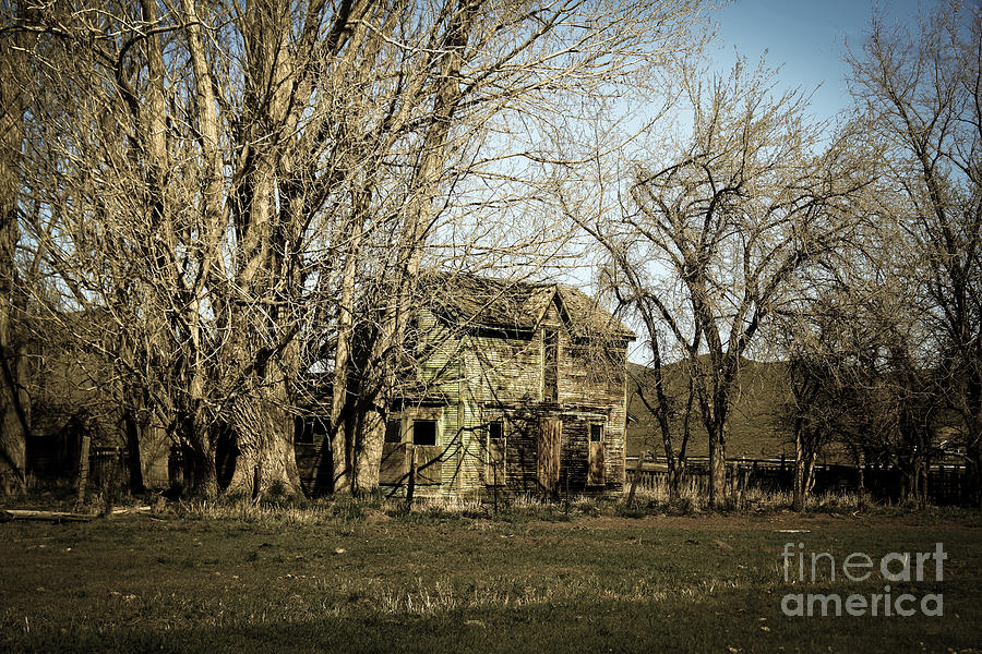 Vintage Photograph - Old Farm House #1 by Robert Bales