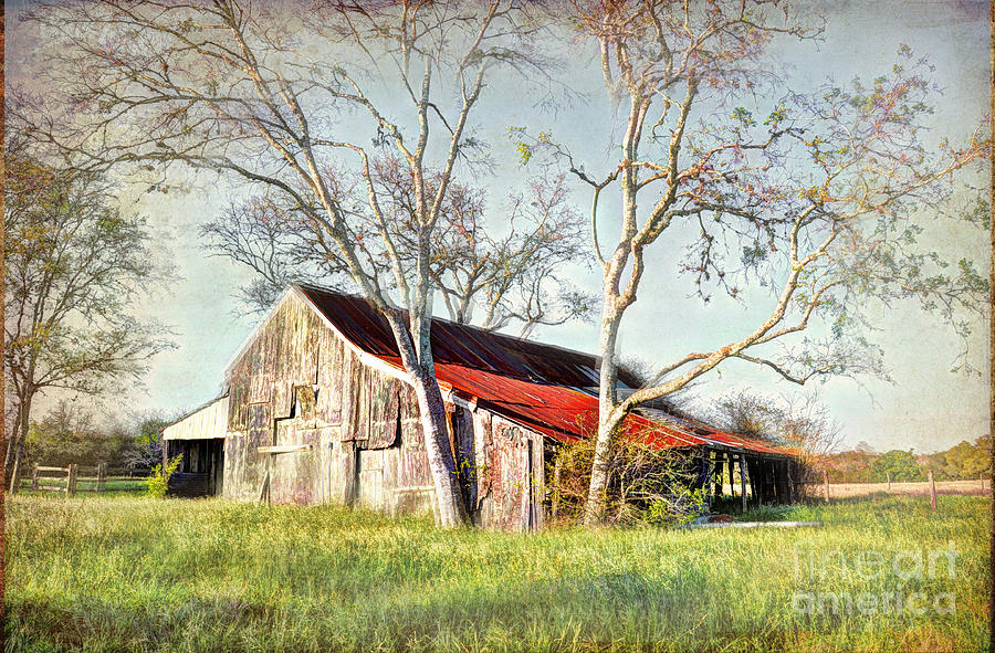 Old Farm #1 Photograph by Savannah Gibbs