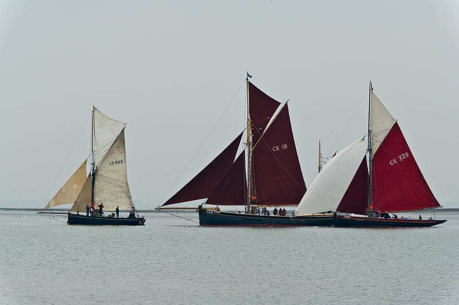 Old gaffers off Brightlingsea #1 Photograph by Gary Eason