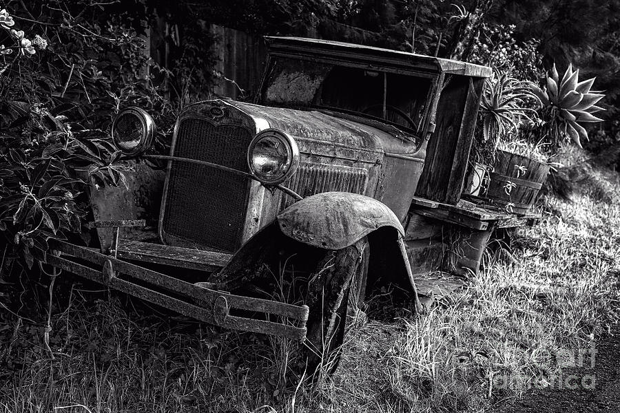 Old Model AA Ford in the Jungle Maui Hawaii Photograph by Edward Fielding