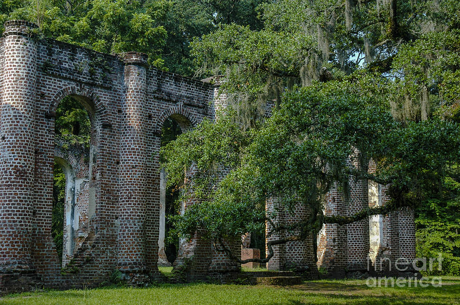 Old Sheldon Church Ruins South Carolina Photograph
