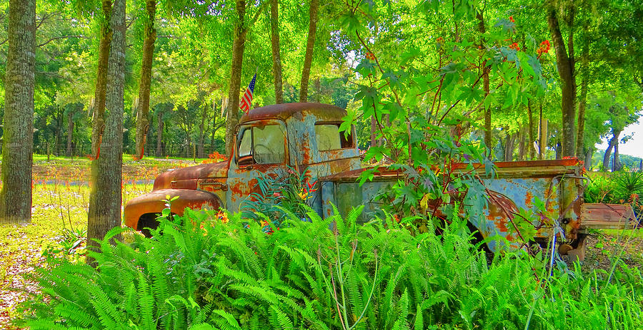 Old Truck #2 Photograph by Dennis Dugan