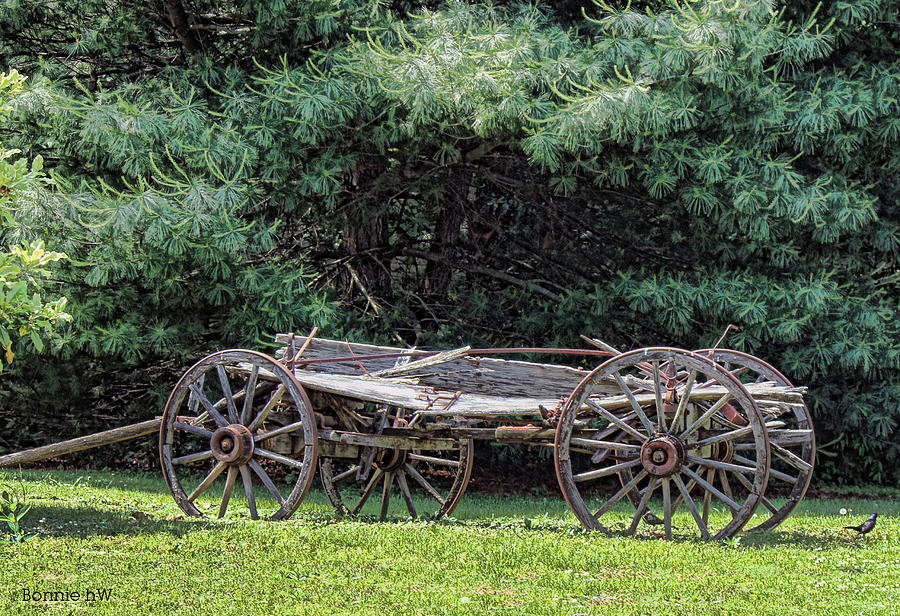 Old Wagon #3 Photograph by Bonnie Willis