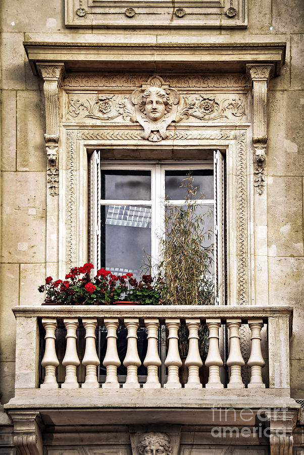 Old window 1 Photograph by Elena Elisseeva