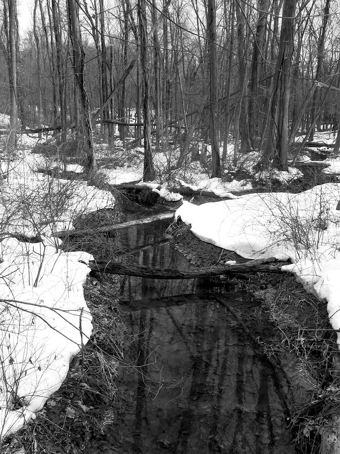 Old Woman Creek Black and White #1 Photograph by Shawna Rowe