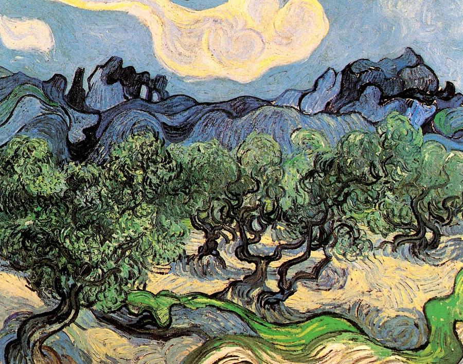 Olive Trees Painting by Vincent van Gogh