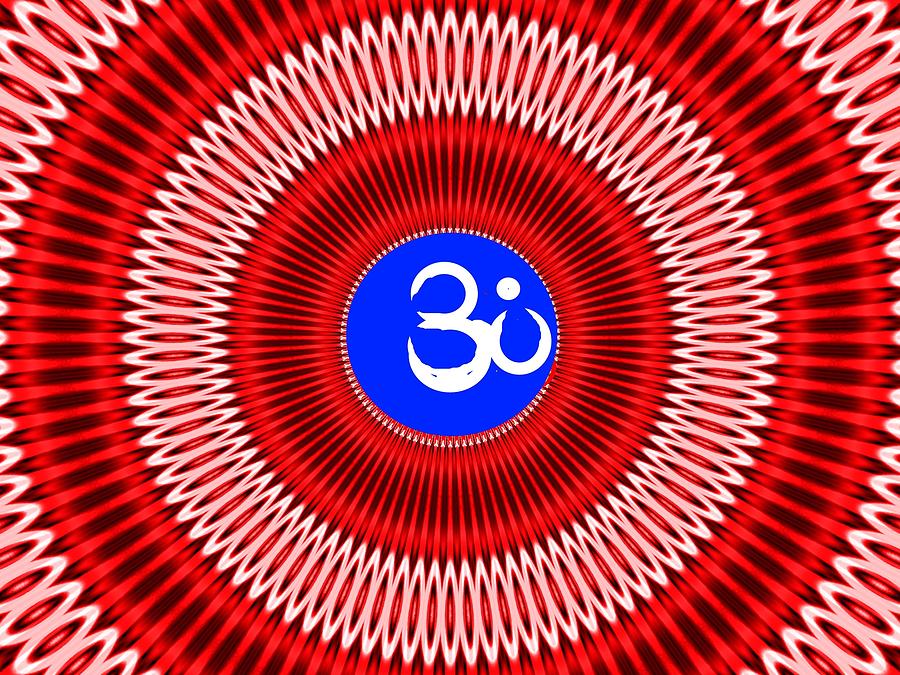 OM #2 Photograph by Anand Swaroop Manchiraju