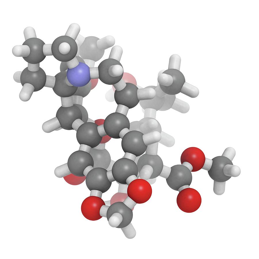 Omacetaxine Mepesuccinate Leukemia Drug Photograph by Molekuul/science ...