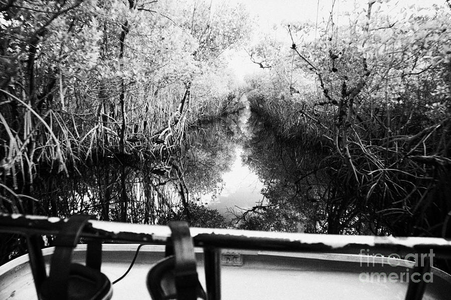 Boat Photograph - On Board An Airboat Ride Through A Mangrove Jungle In Everglades City Florida Everglades Usa #1 by Joe Fox