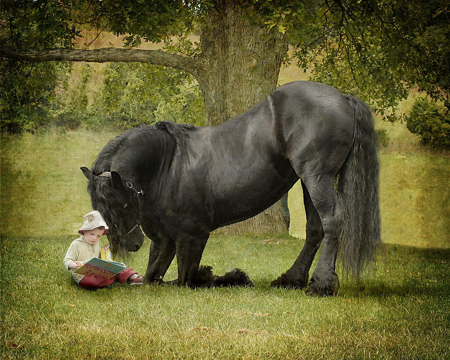 Friesian Photograph - Once Upon A Time by Fran J Scott