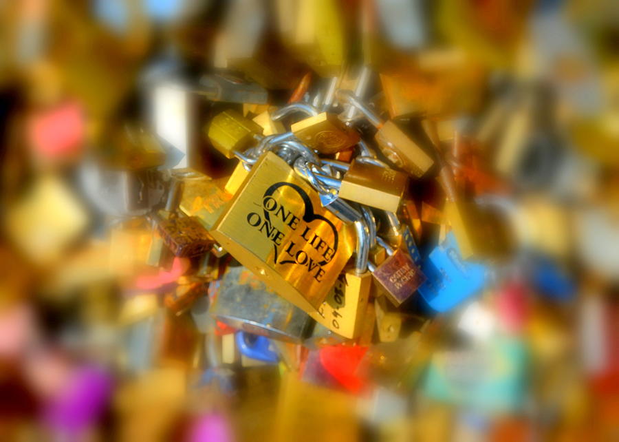 One Life One Love Padlock Photograph by Carla Parris