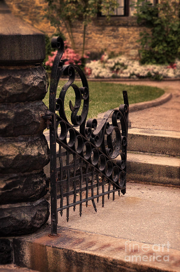 Open Iron Gate #1 Photograph by Jill Battaglia