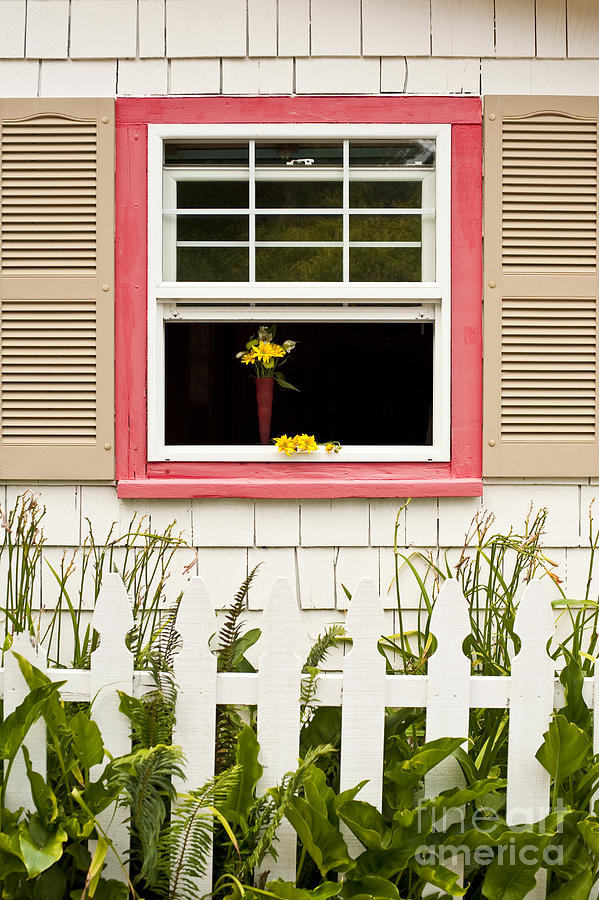 Open Window With Yellow Flower In Vase #3 Photograph by Jim Corwin