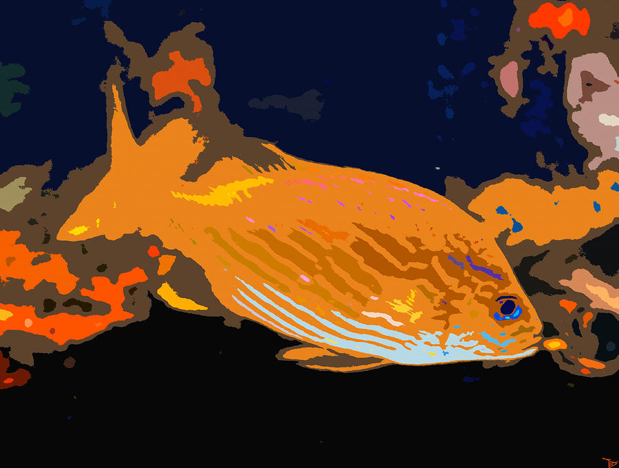 Orange fish #1 Painting by David Lee Thompson