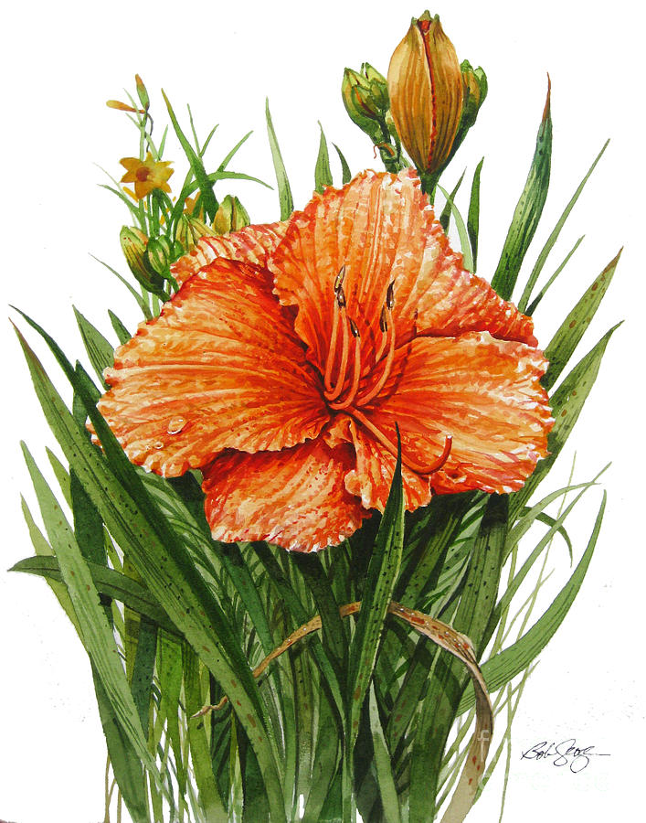 Orange Lily #2 Painting by Bob  George