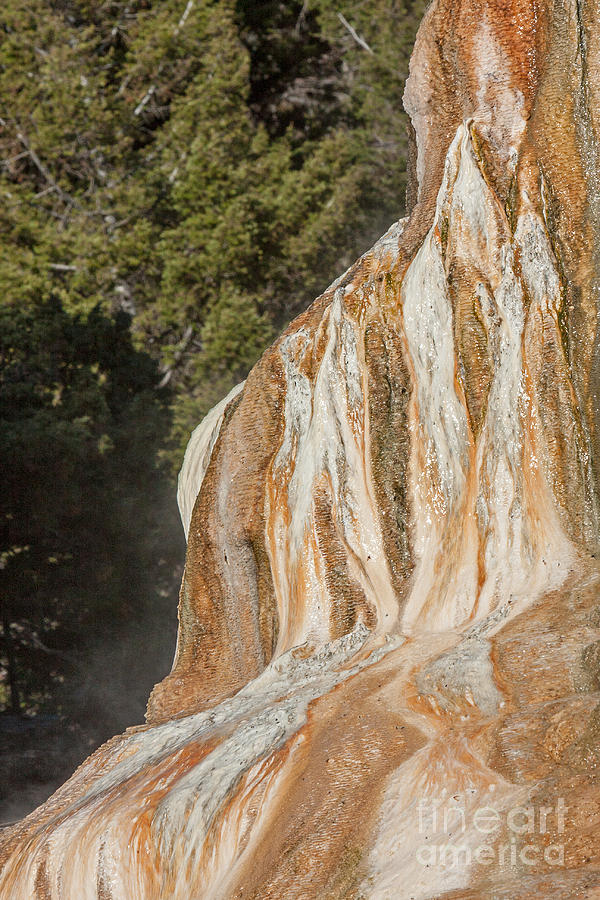 Orange Spring Mound at Mammoth Hot Springs #1 Photograph by Fred Stearns