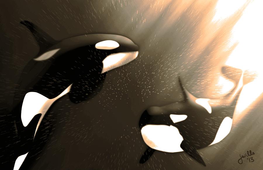 Orca Killer Whales #2 Digital Art by John Wills