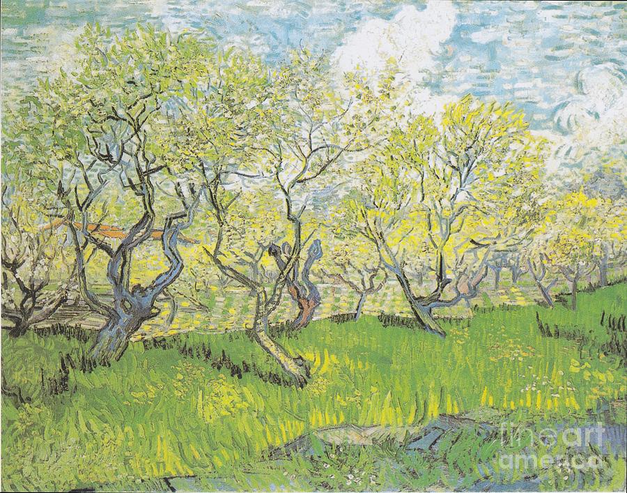 Orchard in Blossom #1 Painting by Celestial Images