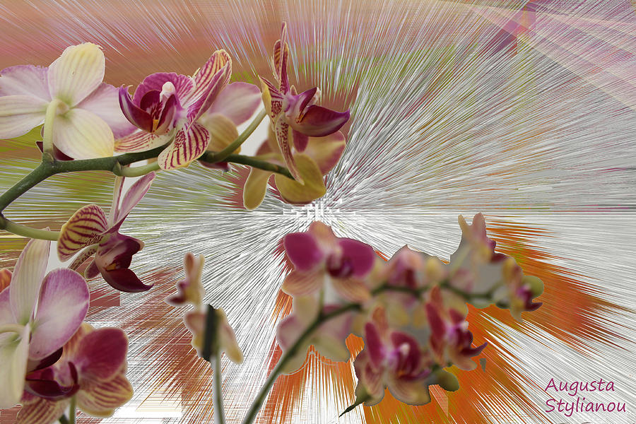 Orchid Flower Digital Art - Orchid Flower #2 by Augusta Stylianou
