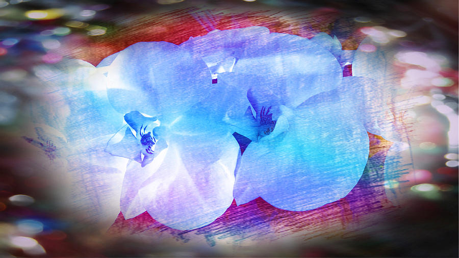 Orchids in Bright Blue #2 Painting by Xueyin Chen