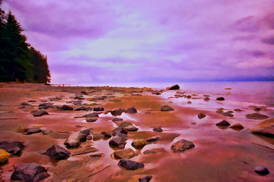 Oregon Beach Photograph by Allen Beatty