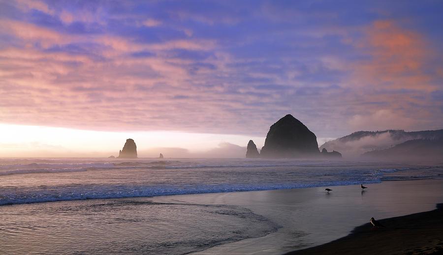 Oregon Coast Haystack Rock Photograph by King Wu