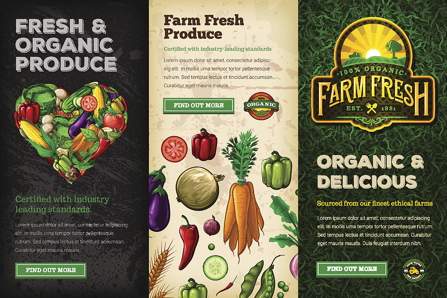 Organic Farm Fresh Web Banner Set #1 Drawing by DavidGoh