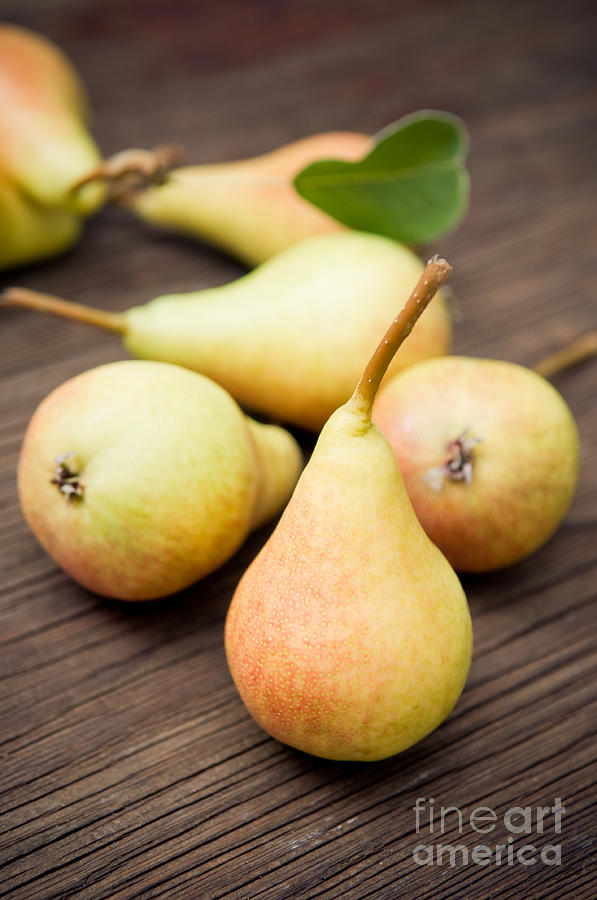 Organic pears #1 Photograph by Viktor Pravdica