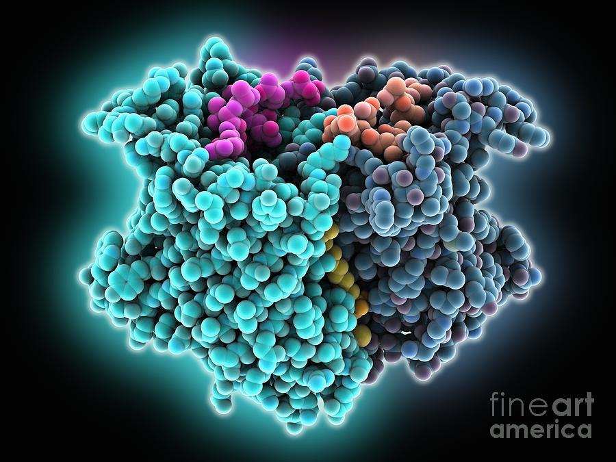 Outer Membrane Phospholipase A Molecule Photograph By Laguna Design ...