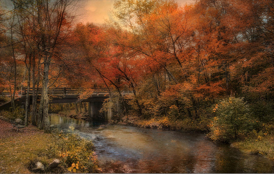 Fall Photograph - Over the River #3 by Robin-Lee Vieira
