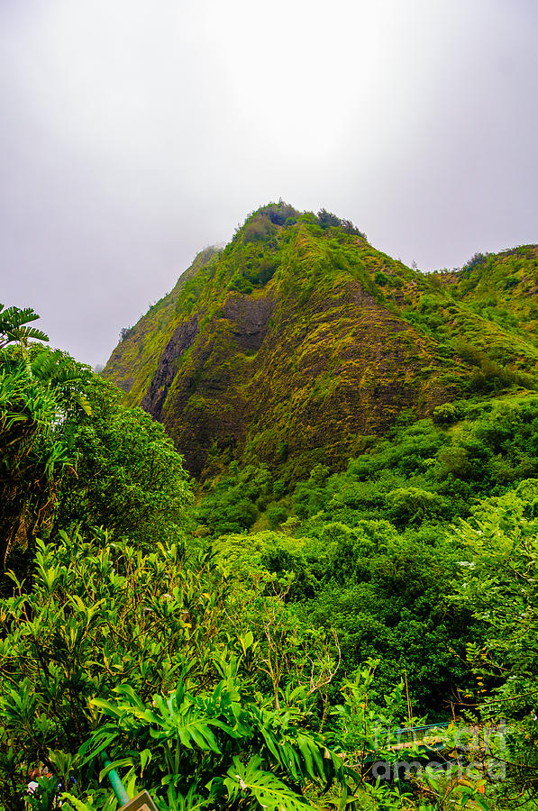 Overview of the Iao Needle State Park Maui Hawaii USA #1 Photograph by Don Landwehrle