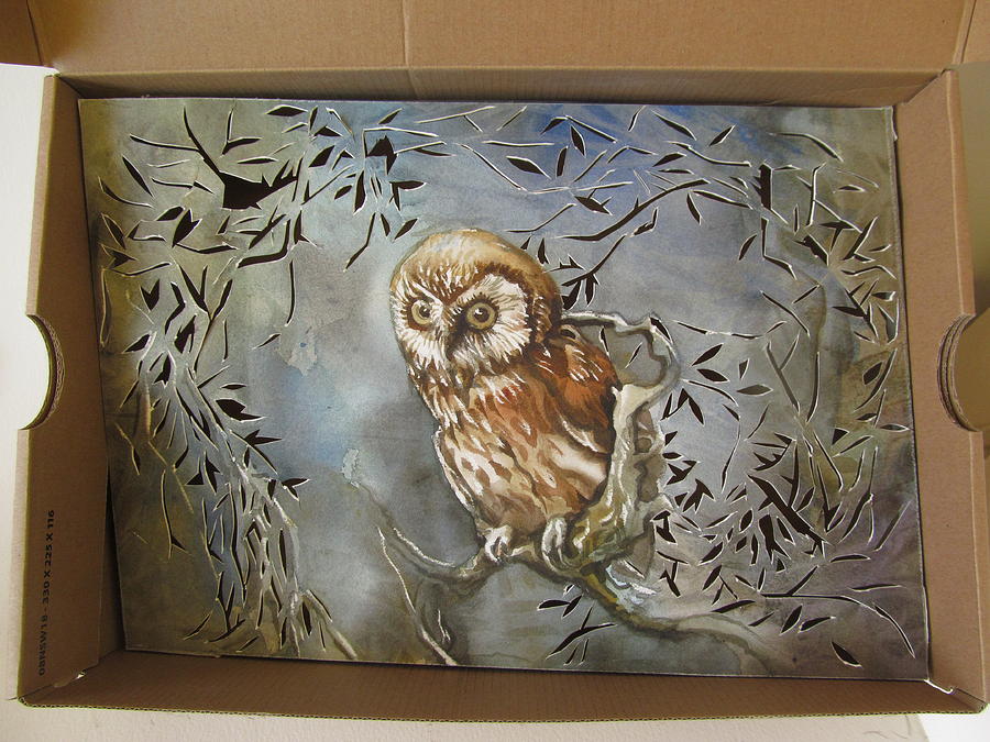 Owl In A Shoe Box #1 Mixed Media by Alfred Ng