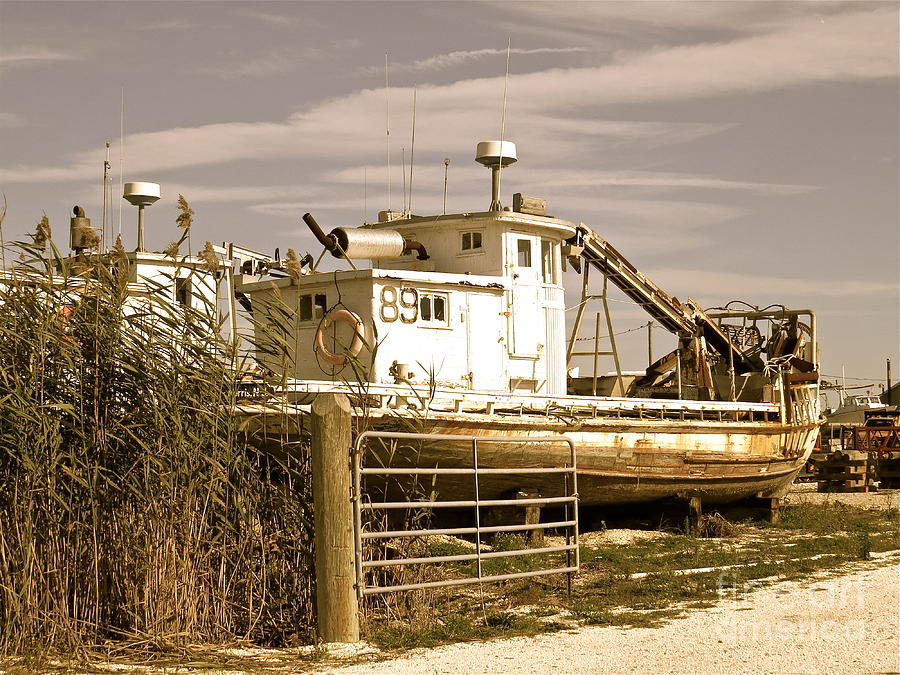 Oyster Boats in Dry Dock  #1 Photograph by Nancy Patterson