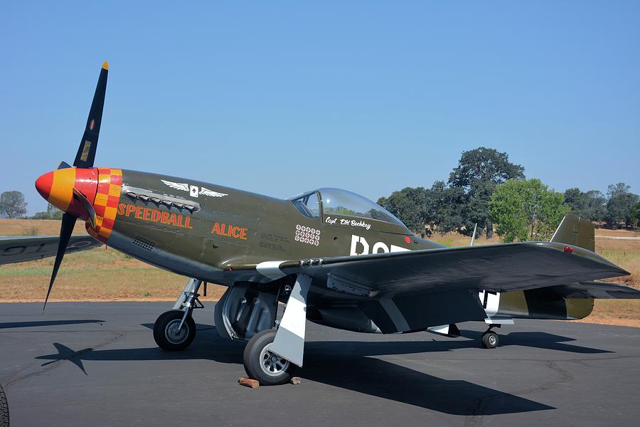Airplane Photograph - P51 Mustang Speedball Alice by Ed Hughes