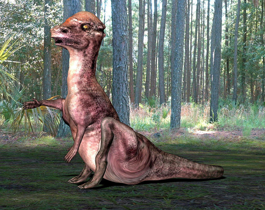 Prehistoric Photograph - Pachysaurus Dinosaur #1 by Friedrich Saurer