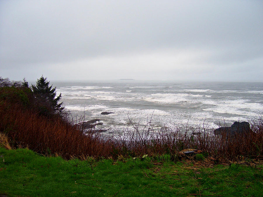 Winter Photograph - Pacific Coast #1 by Jeanette C Landstrom