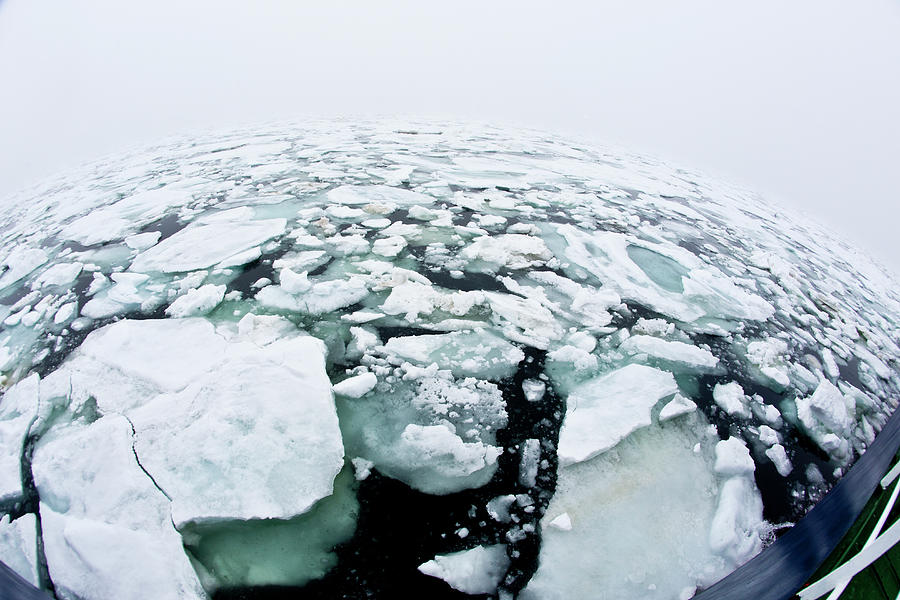 Pack Ice Arctic Ocean Photograph by Darrell Gulin Pixels