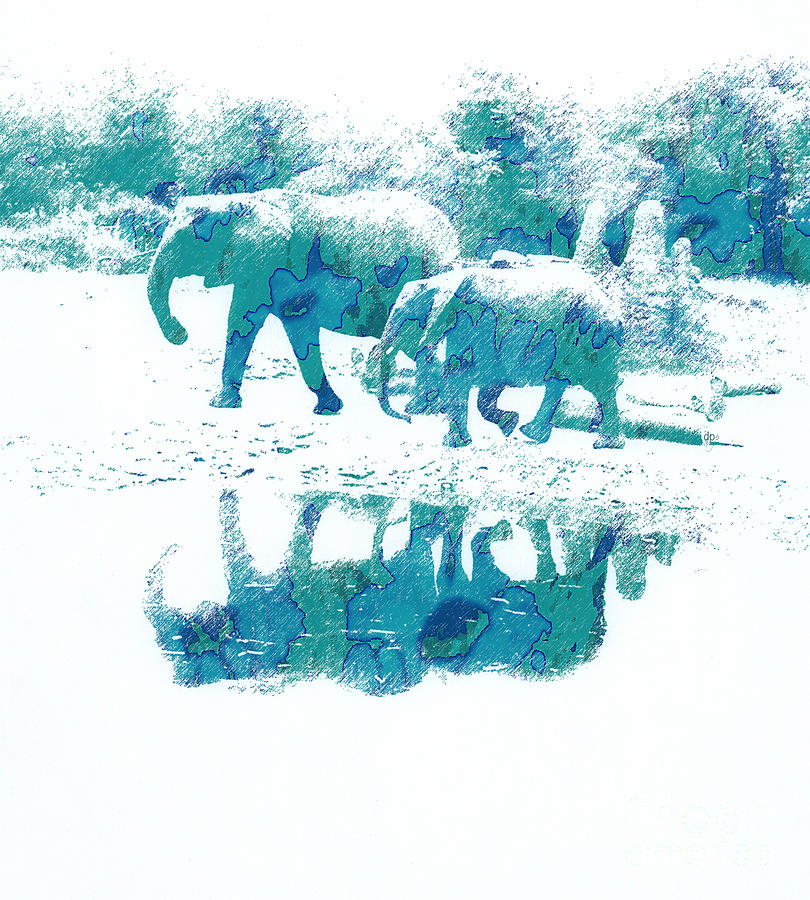 Elephant Photograph - Painted Elephants #1 by Debra Pruskowski