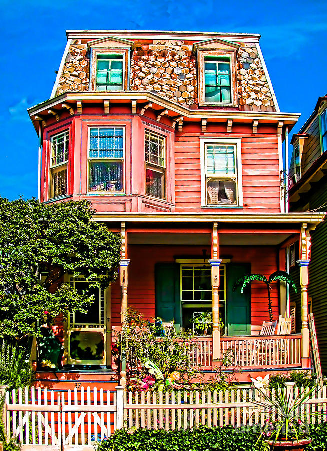 Painted Lady No. 37 #1 Photograph by Colleen Kammerer