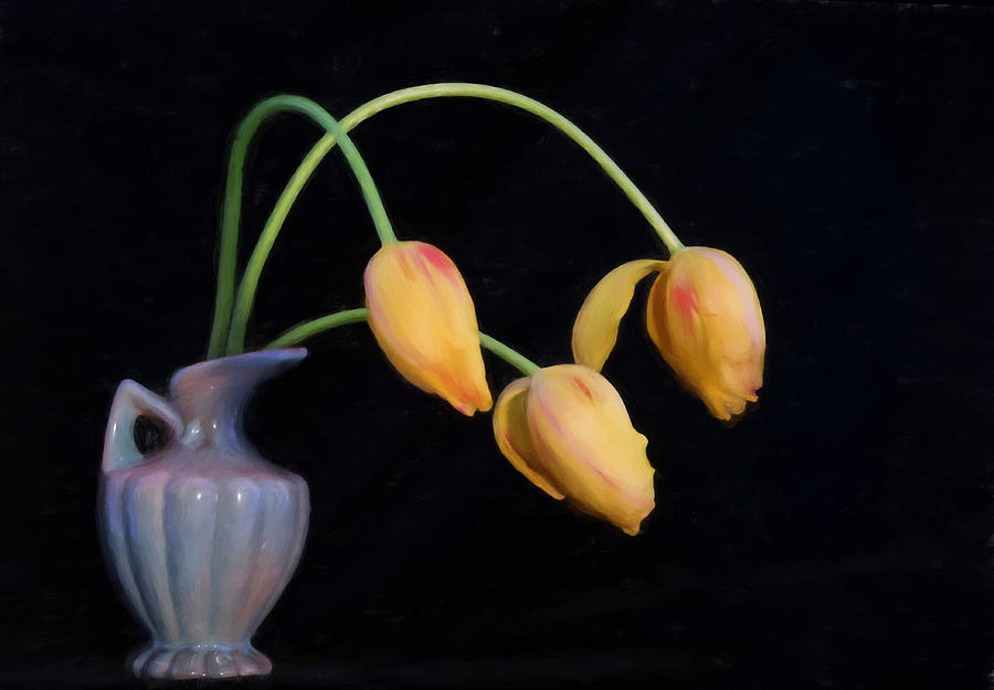 Painted Tulips Photograph by Mary Buck
