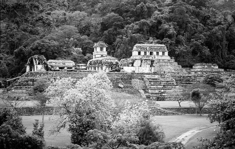 Palenque City Black and White Photograph by Roy Pedersen