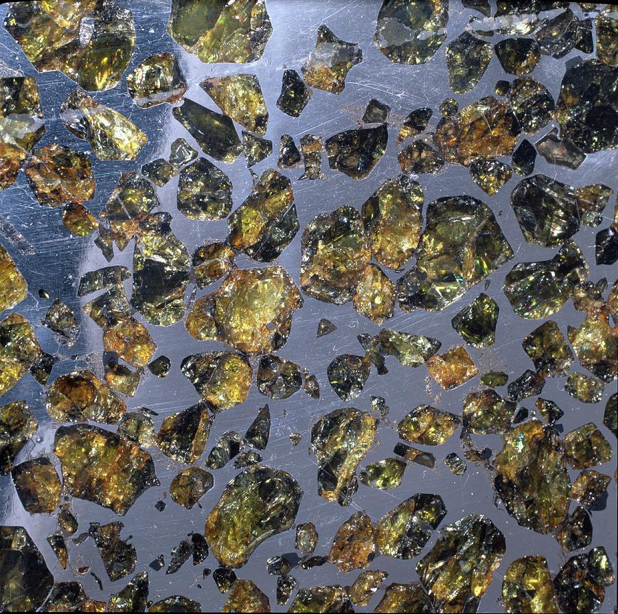 Pallasite Meteorite #1 By Natural History Museum, London Science Photo 